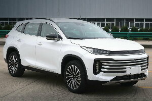 Коврики EVA для EXEED TXL I (suv / Рестайлинг 1) 2020 - Н.В.